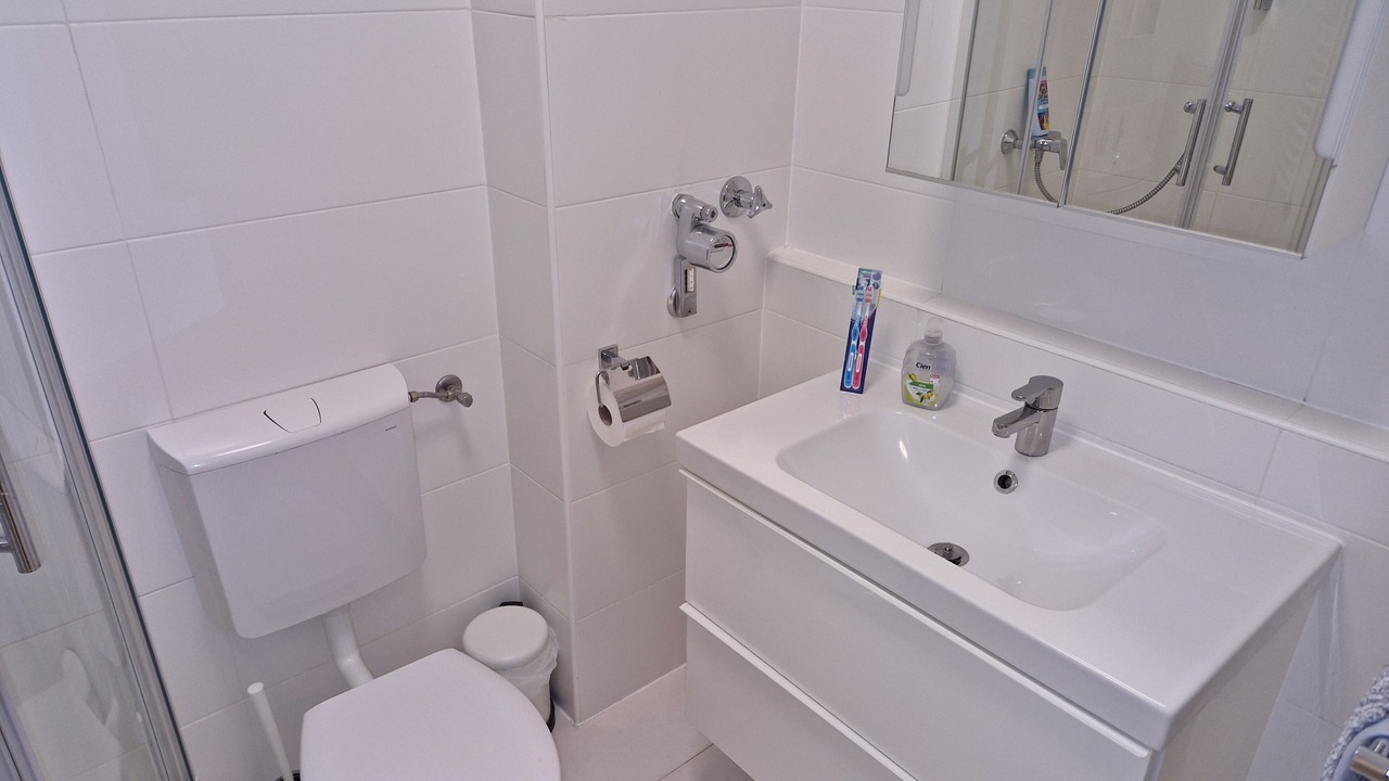 Photo of Bathroom in Dachau District