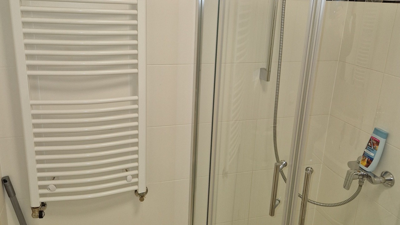 Photo of Bathroom in Dachau District