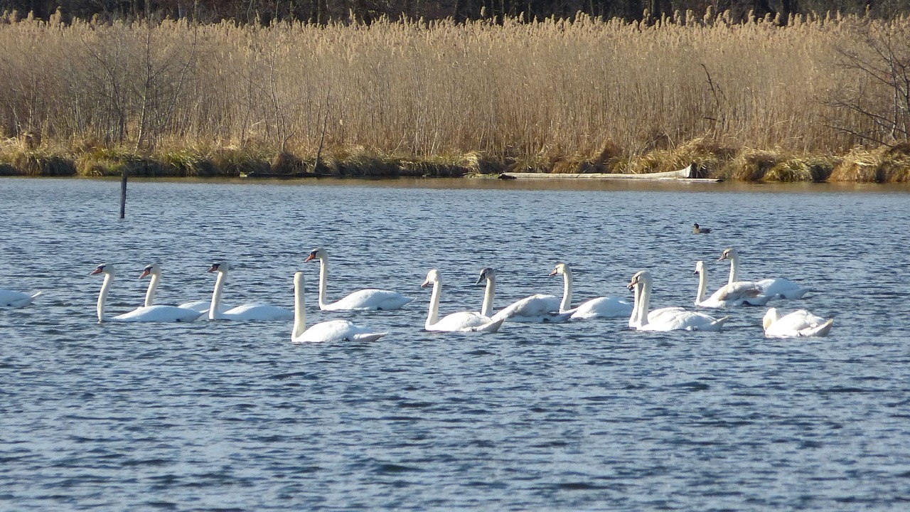 Photo of Others in Vilseck