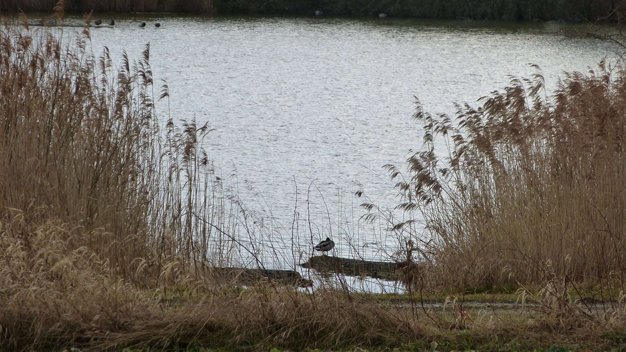 Photo of Others in Vilseck