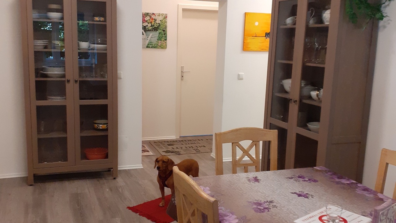 Photo of Others in Schwabing-Freimann