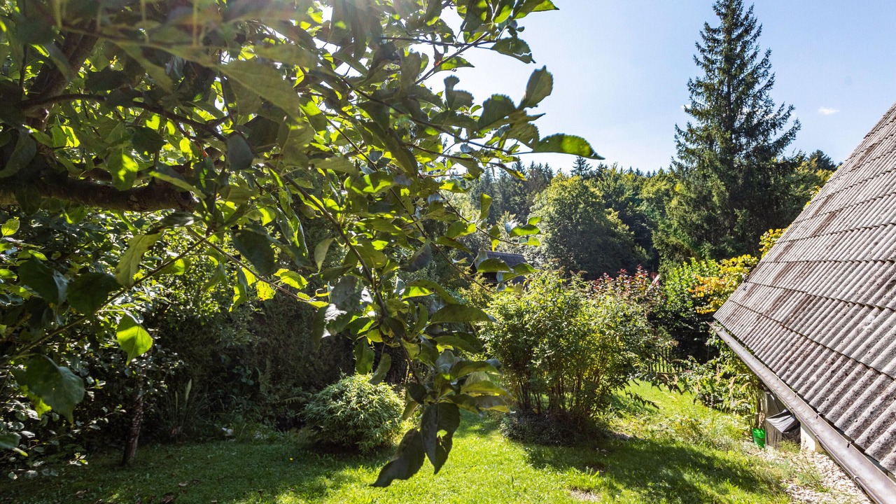 Photo of Outdoor in Feichten