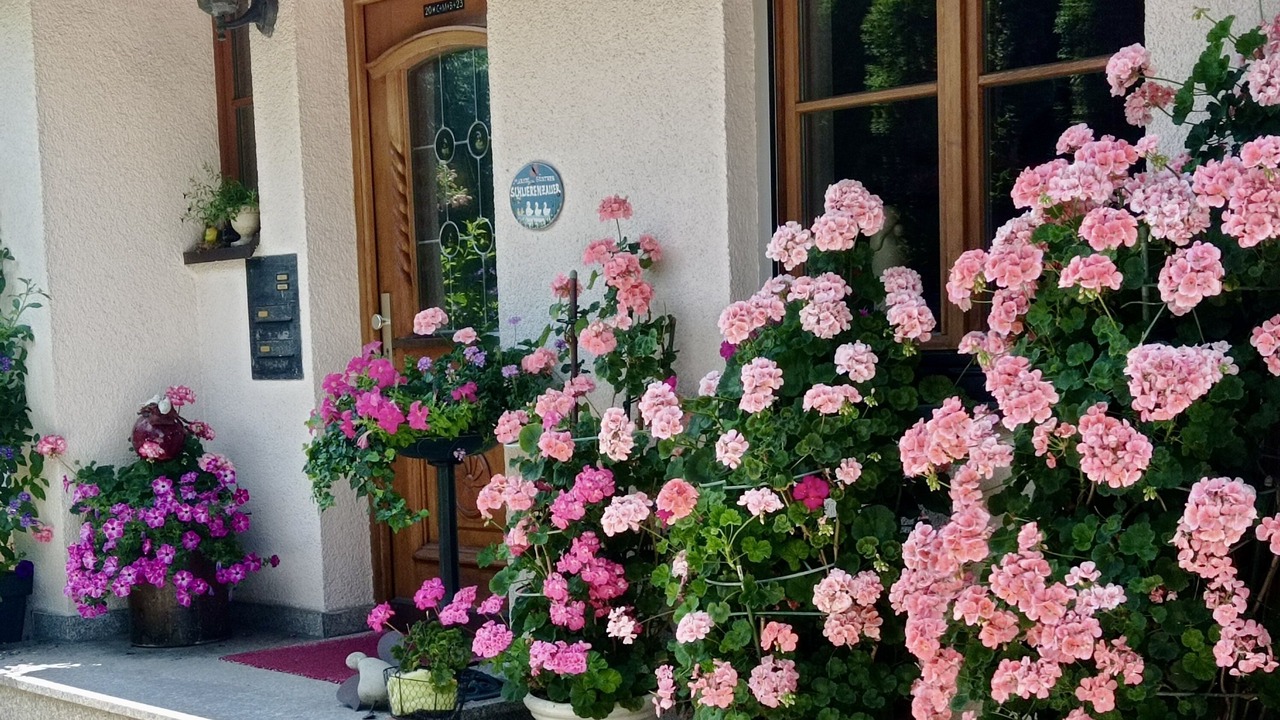 Photo of Outdoor in Sigmarszell