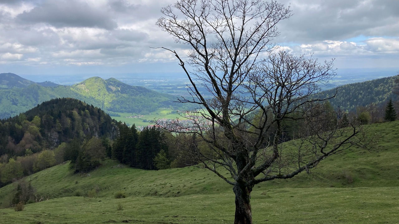 Photo of Others in Hohenaschau im Chiemgau