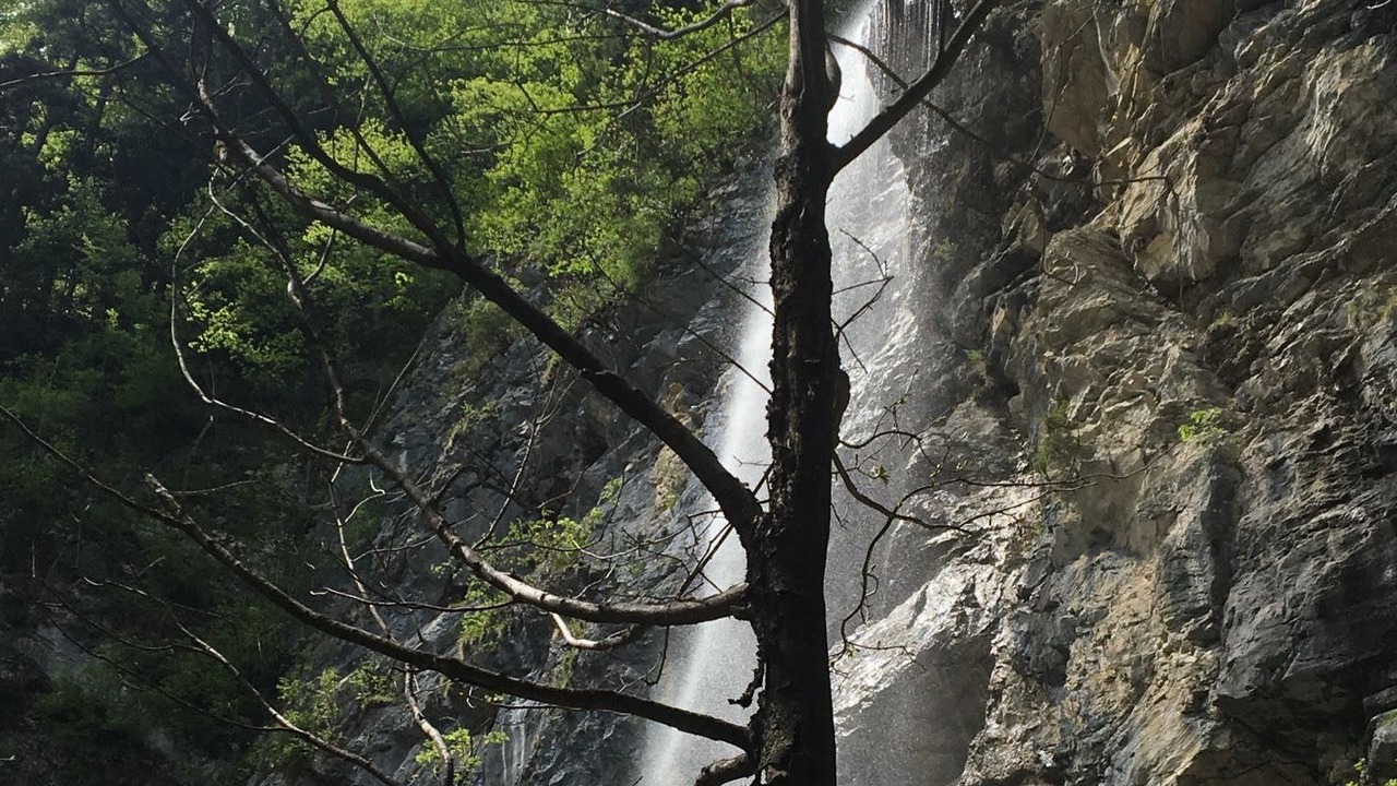 Photo of Outdoor in Hohenaschau im Chiemgau