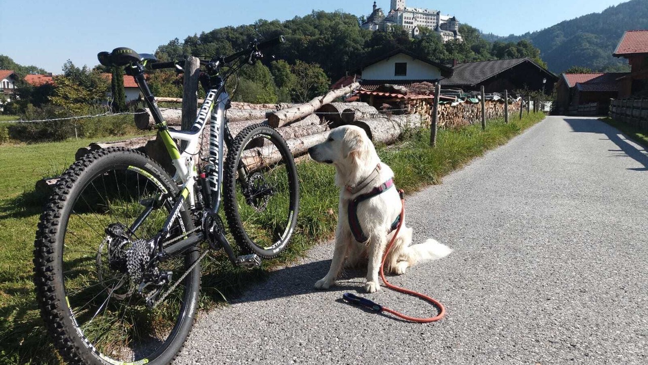 Photo of Others in Hohenaschau im Chiemgau
