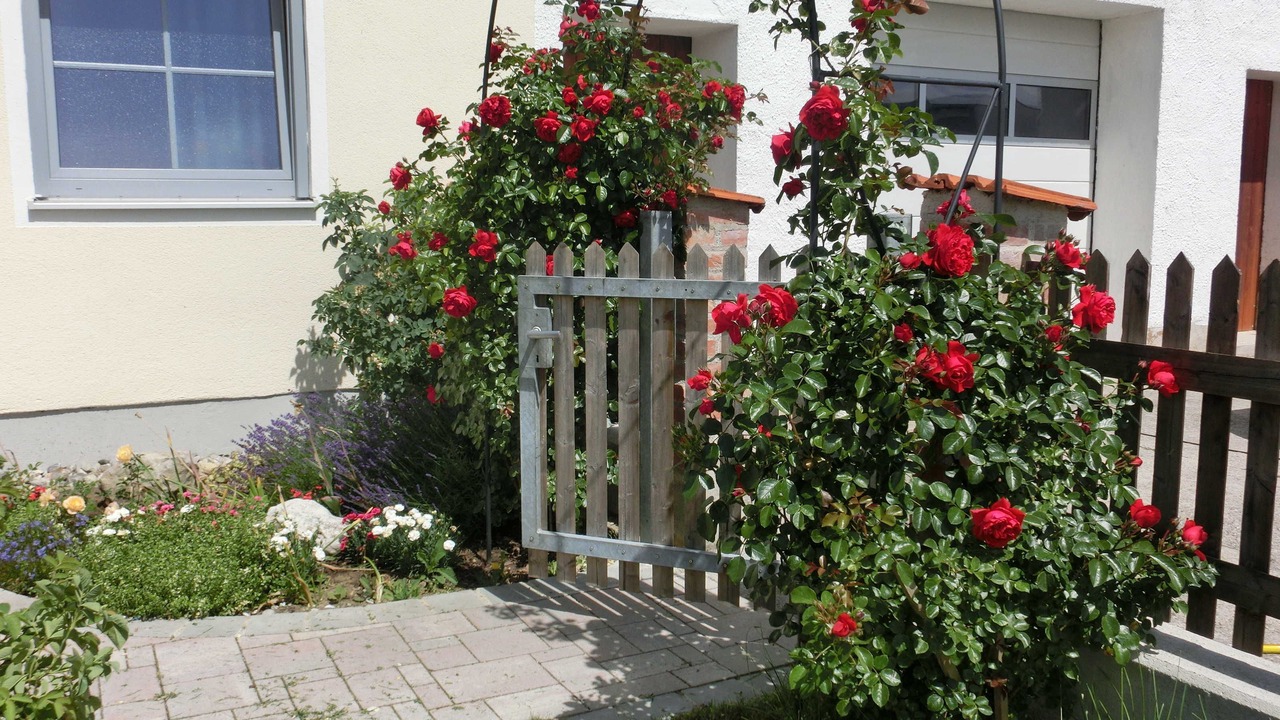 Photo of Outdoor in Furstenfeldbruck District