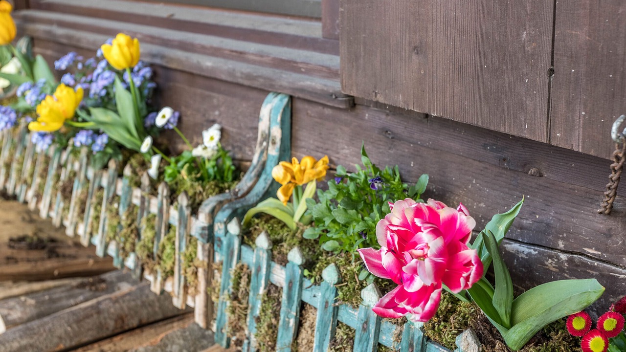 Photo of Outdoor in Anzenbach