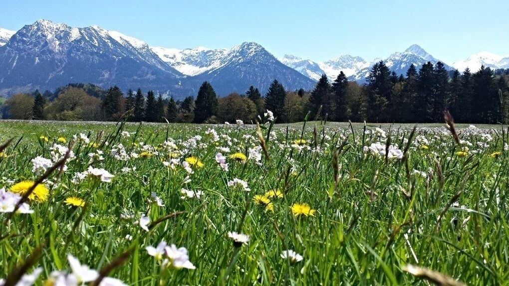 Photo of Outdoor in Burgberg