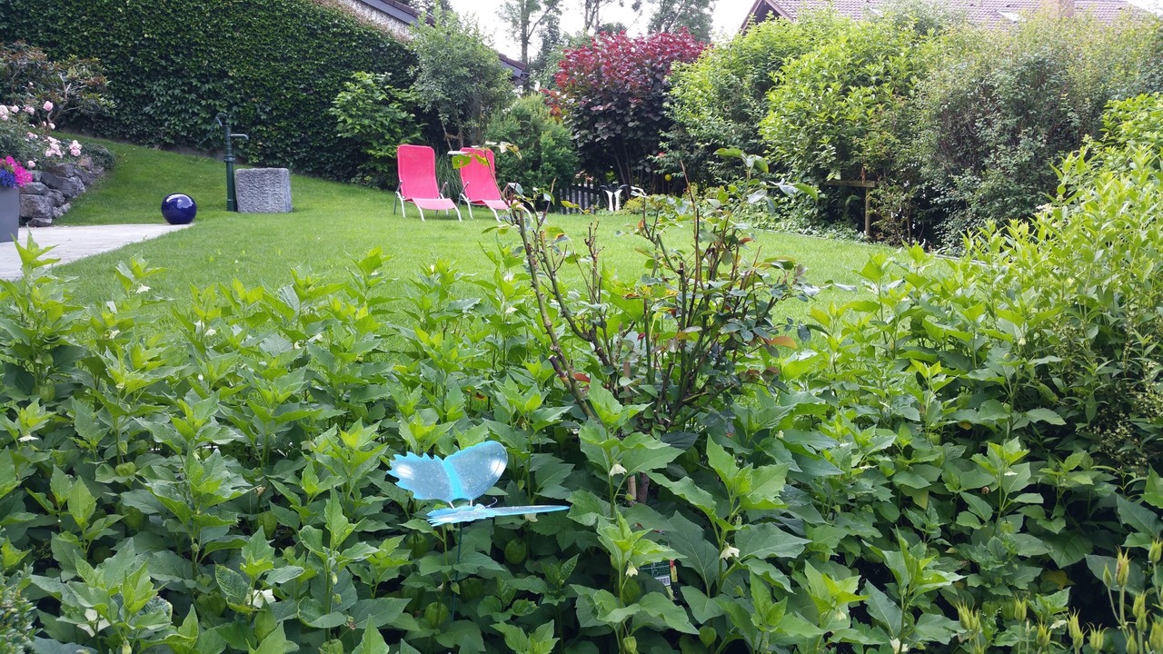 Photo of Outdoor in Burgberg