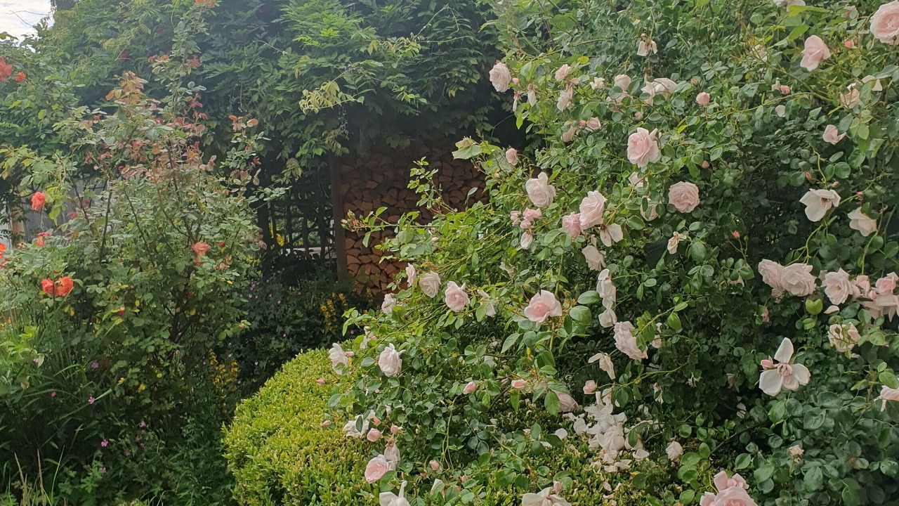 Photo of Outdoor in Sinzing
