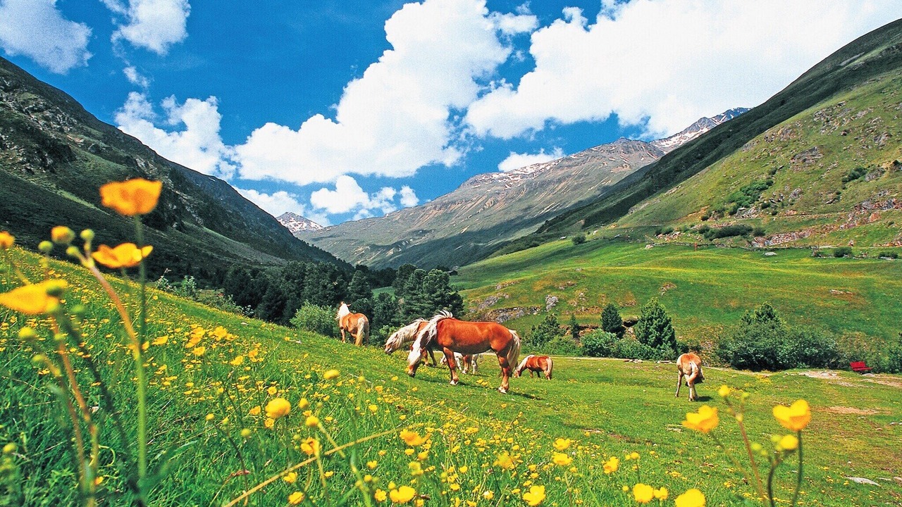 Photo of Others in Huben