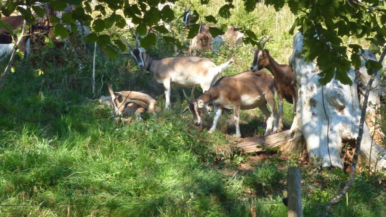Photo of Others in Buchenberg