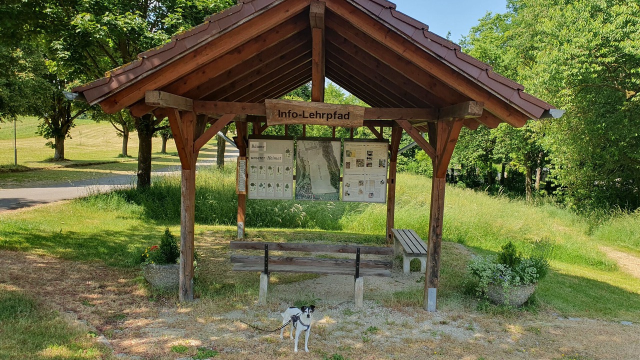 Photo of Outdoor in Niederviehbach