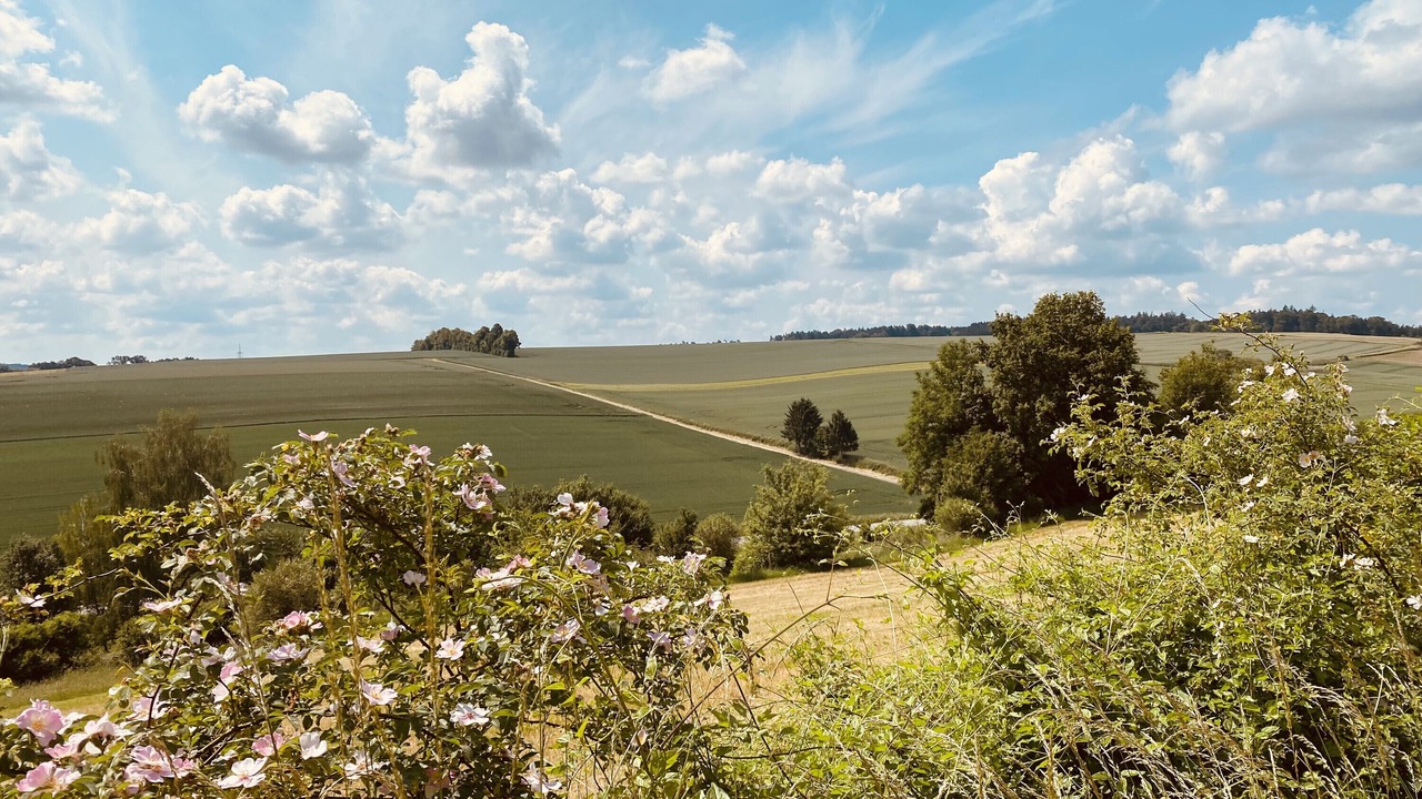 Photo of Others in Niederviehbach