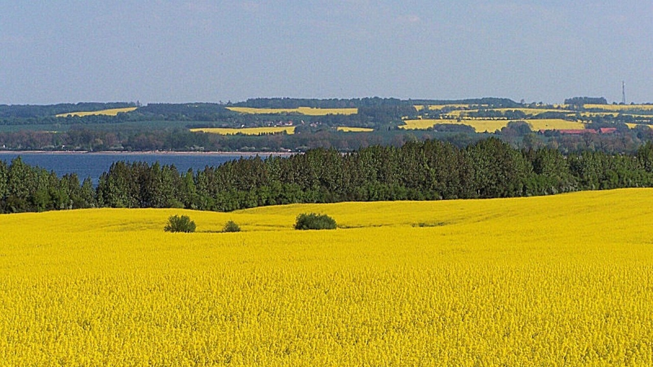 Photo of Others in Wohlenberg