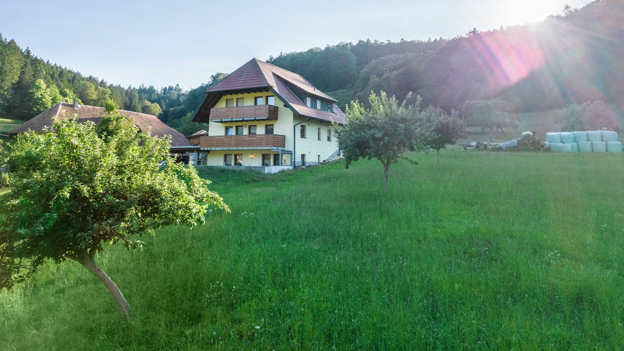 Photo of Outdoor in Schuttertal