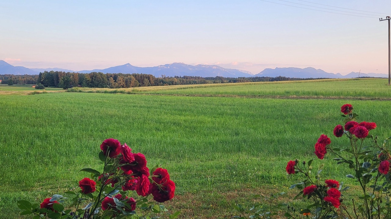 Photo of Outdoor in Pittenhart