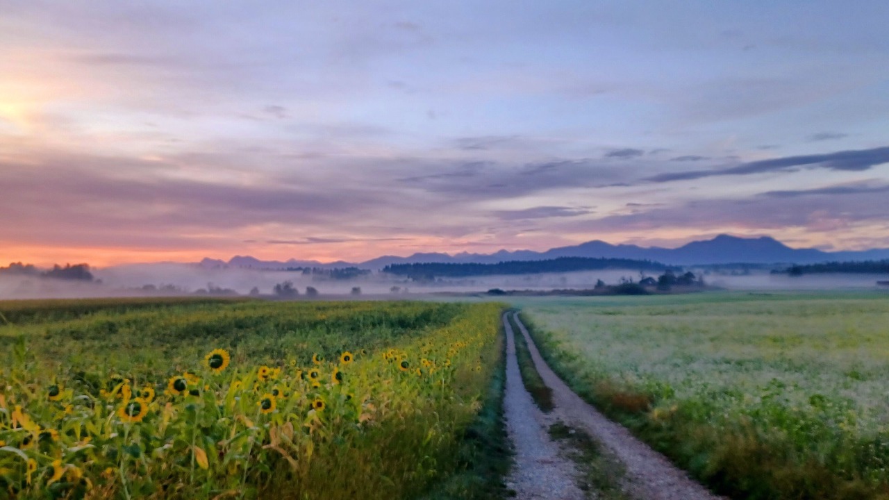 Photo of Outdoor in Pittenhart