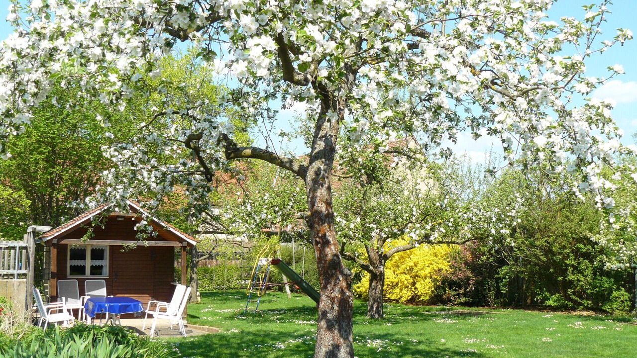 Photo of Outdoor in Pfofeld