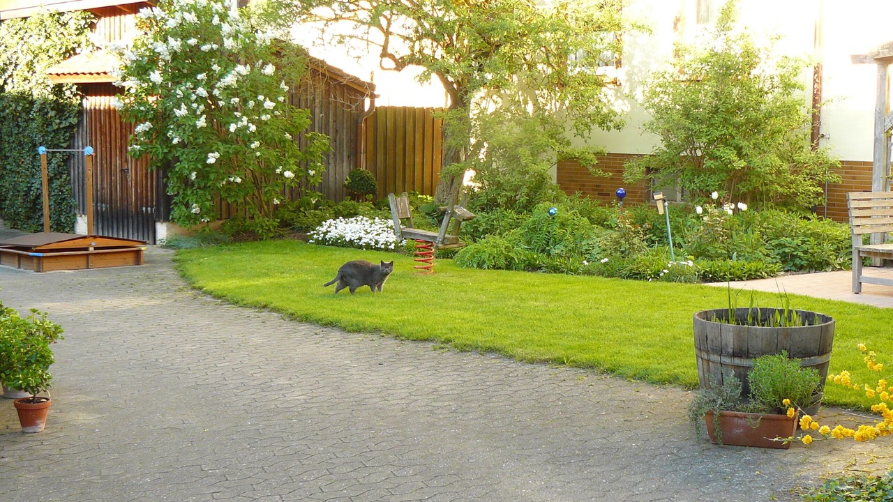 Photo of Outdoor in Pfofeld