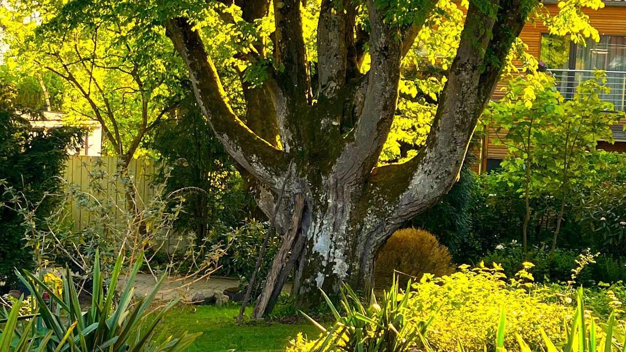 Photo of Outdoor in Seeshaupt