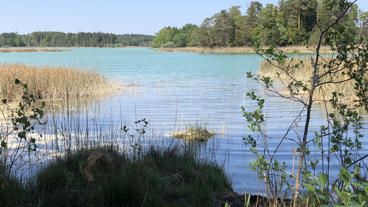 Photo of Others in Seeshaupt