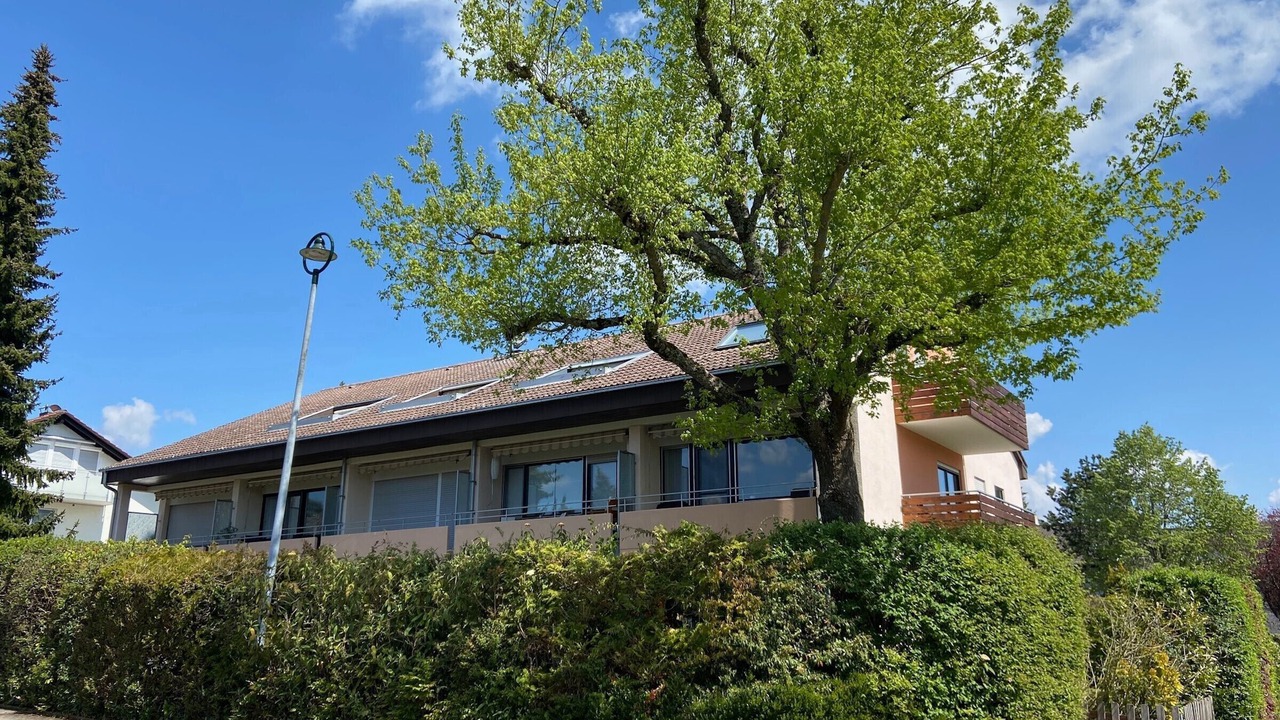 Photo of Outdoor in Gaienhofen