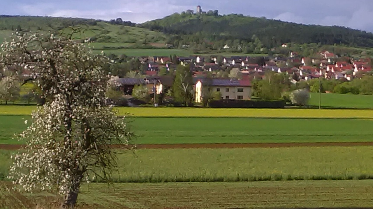 Photo of Others in Ostheim