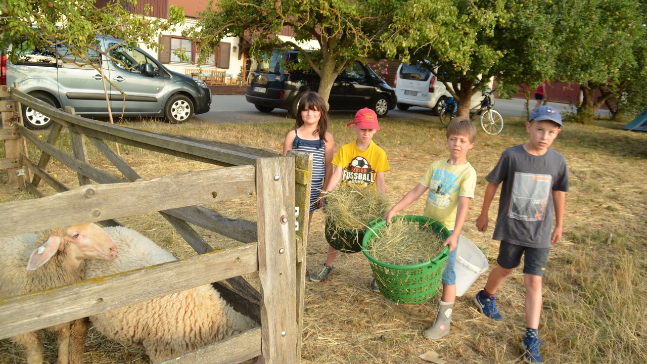 Photo of Outdoor in Ostheim