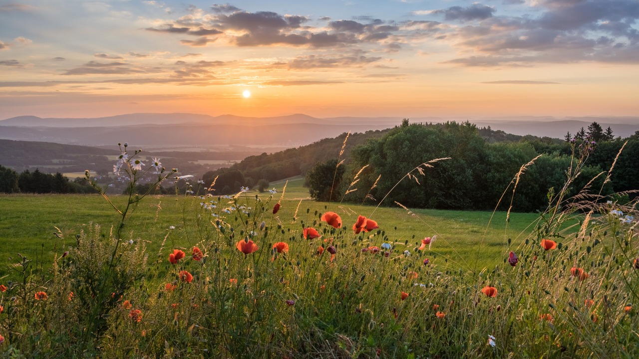 Photo of Outdoor in Wildflecken