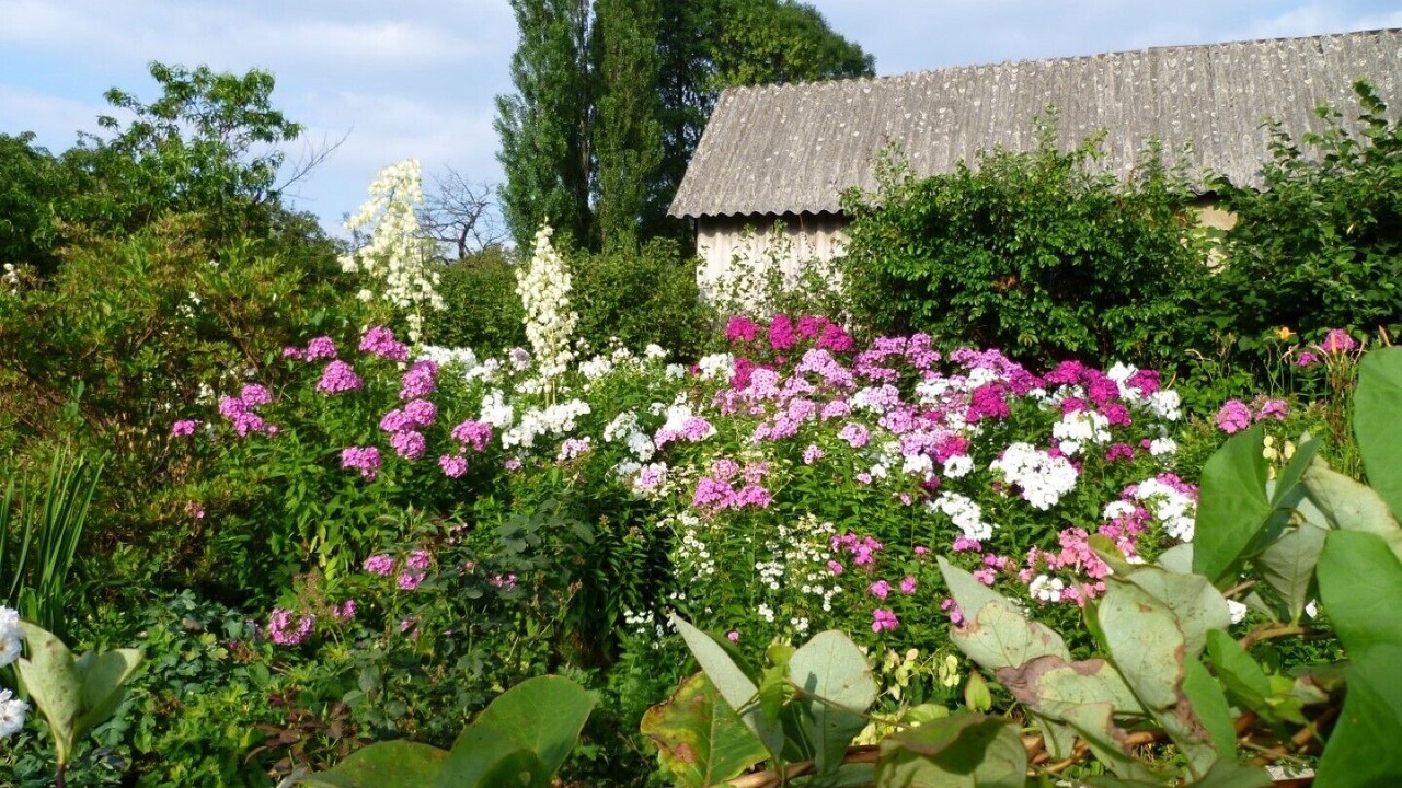 Photo of Outdoor in Duerrroehrsdorf-Dittersbach