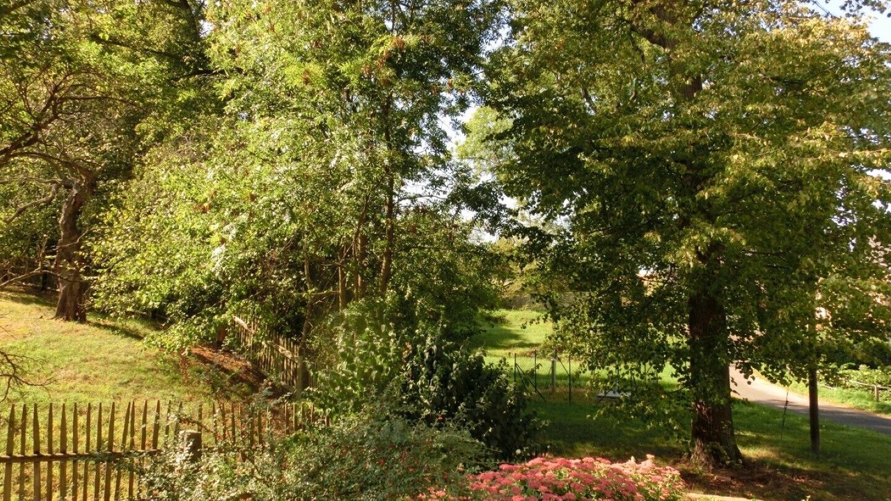 Photo of Outdoor in Duerrroehrsdorf-Dittersbach