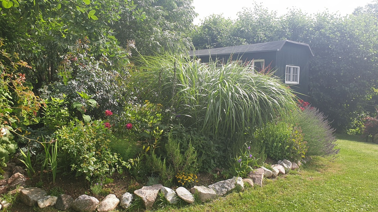 Photo of Outdoor in Boltenhagen