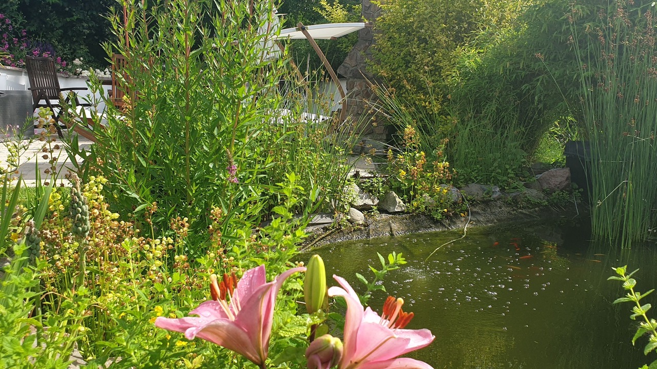 Photo of Outdoor in Boltenhagen