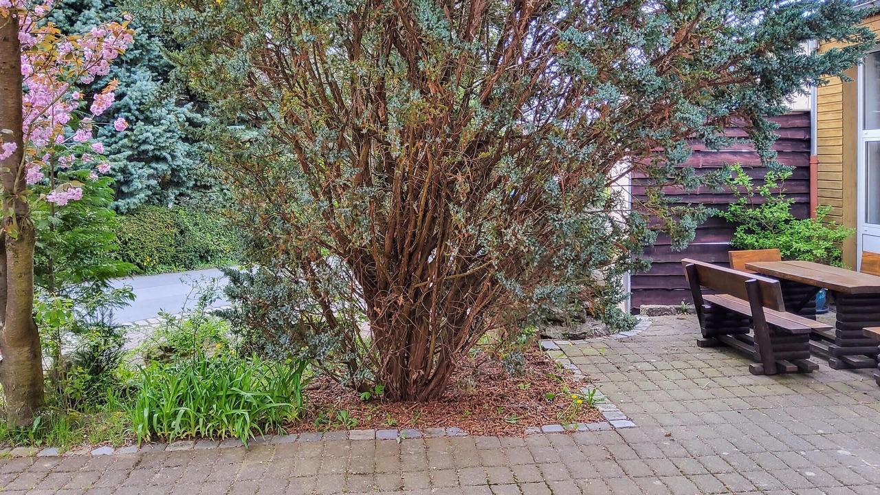Photo of Others in Kleingießhubel