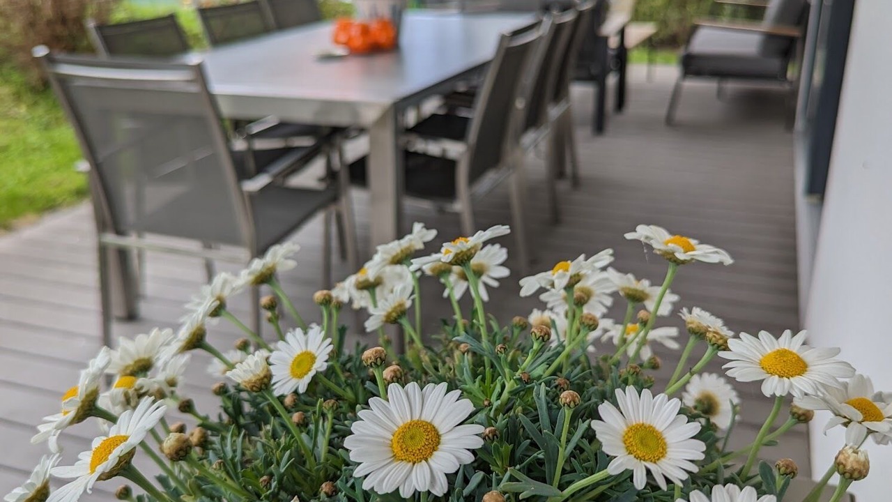 Photo of Outdoor in Niederfeld
