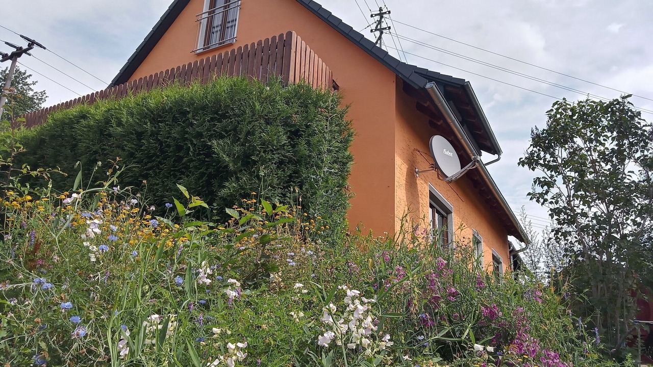 Photo of Outdoor in Steinwiesen