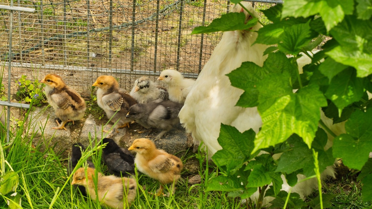 Photo of Others in Riedenburg