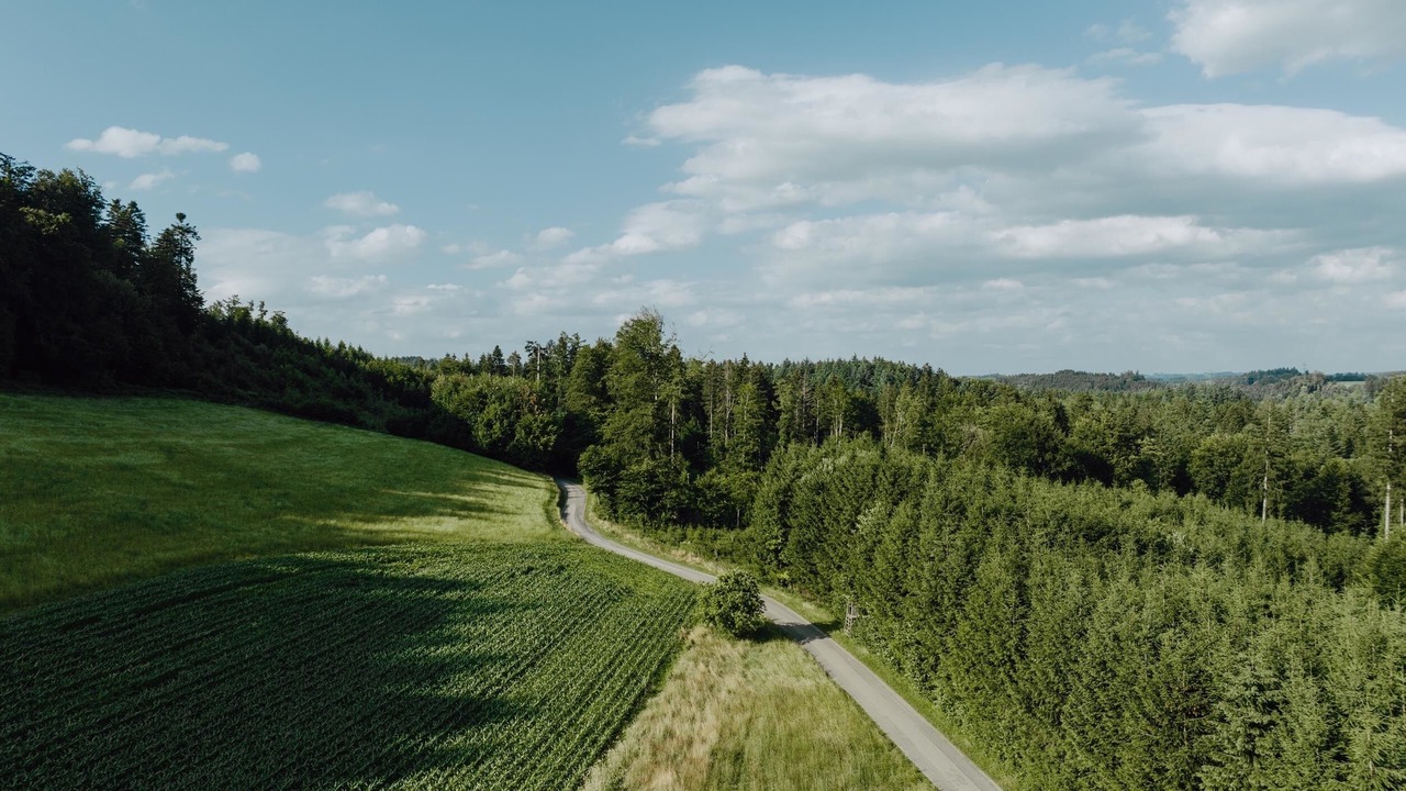 Photo of Others in Neukirch
