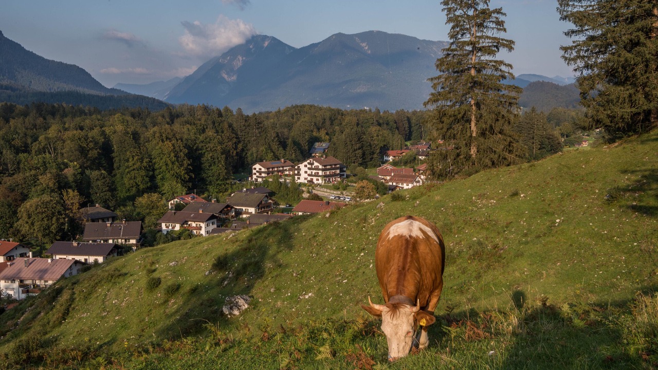 Photo of Others in Teisendorf