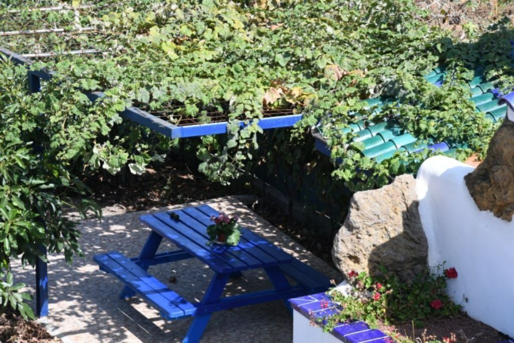 Photo of Outdoor in La Matanza de Acentejo