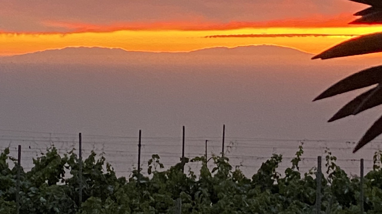 Photo of Outdoor in La Matanza de Acentejo