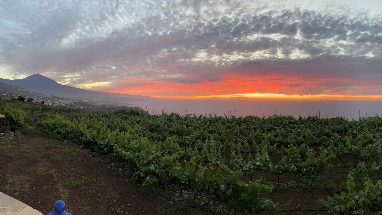 Photo of Outdoor in La Matanza de Acentejo