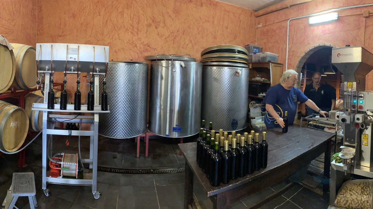 Photo of Others in La Matanza de Acentejo