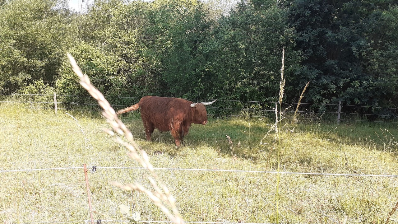 Photo of Outdoor in Tirschenreuth