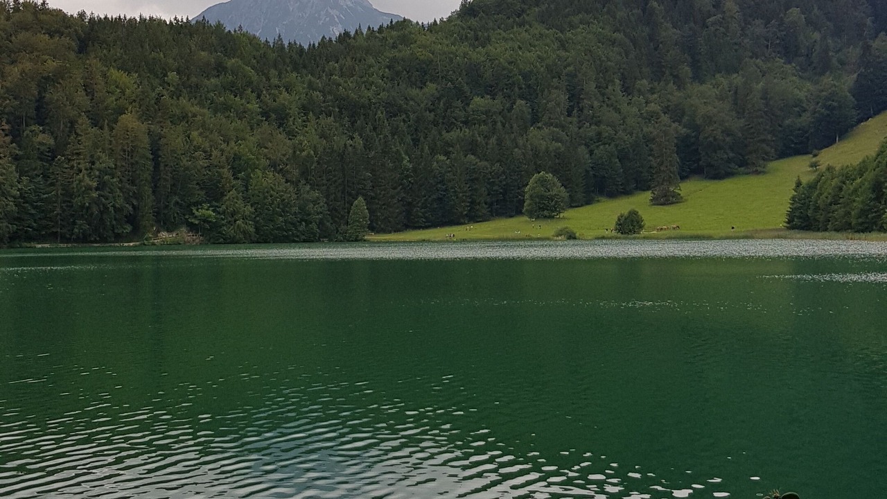 Photo of Others in Schwarzenbach