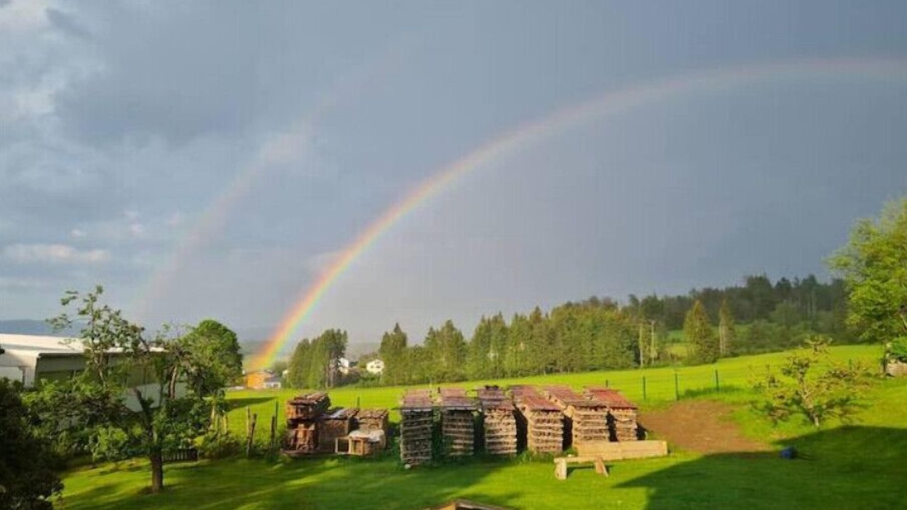 Photo of Outdoor in Sonnen