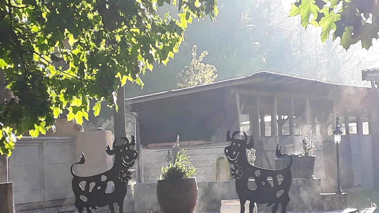 Photo of Outdoor in Windelsbach