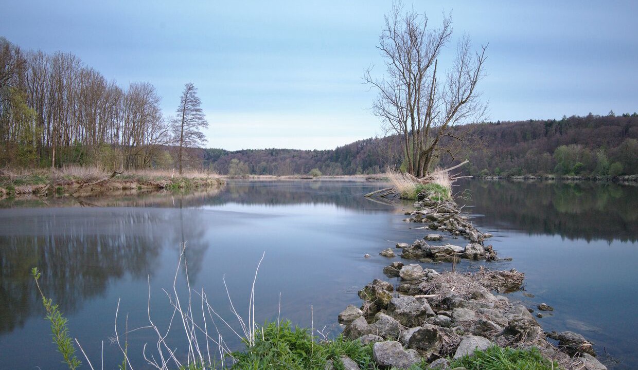 Photo of Others in Neuburg